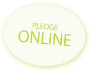Walkathon_Pledge