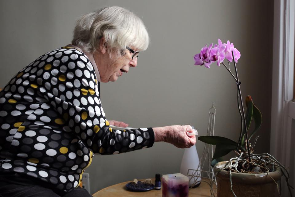 Helen watering the orchid flower 